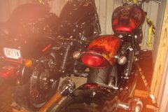 IMG_0012-4