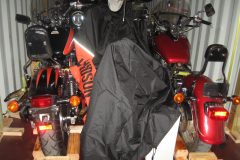 IMG_0021-3
